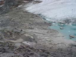 gebildet, durch den das Seewasser floss und anschließend in einer Gletscherhöhle verschwand (Abb. 14). Abb. 14: Ausfluss-Canyon am Eisrandsee Seit 27.
