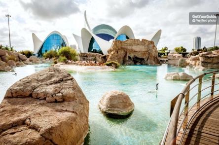 Oceanogràfic, gelegen in der beeindruckenden Stadt der Künste und Wissenschaften. Das spektakuläre Aquarium wurde von Felix Candela in Form einer Wasserlilie entworfen.