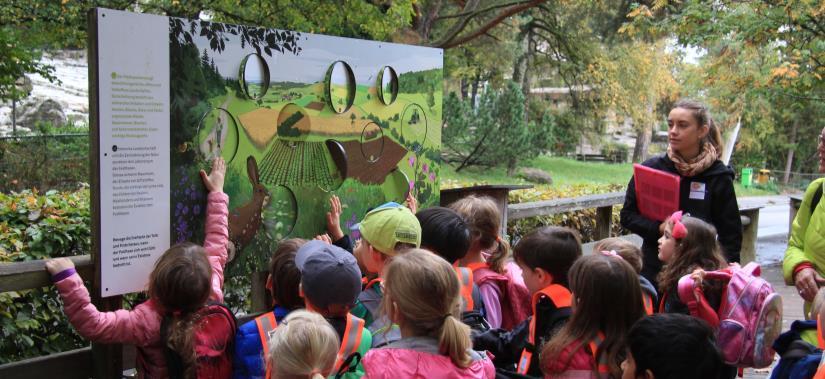 Modul 5: Expertenwoche ein Blick in die Praxis Lernziele : Die Studierenden Planen und setzen einen Naturerlebnistag im Naturpark Sihlwald oder Tierpark Langenberg um