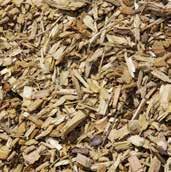 Davon verkaufen wir etwa 44 Prozent als wertvolles Stammholz an Säge- und Furnierwerke.