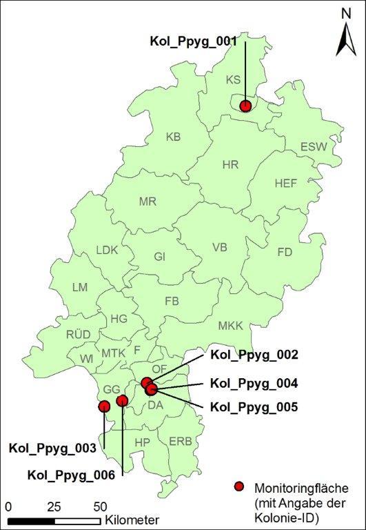 3 Material und Methoden 3.1 Auswahl der Monitoringflächen Die Erfassung der Anhang IV-Art Mückenfledermaus (Pipistrellus pygmaeus) erfolgte hessenweit im Totalzensus.