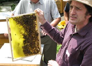 Bienengesundheit hängt von vielen Faktoren ab, wie zum Beispiel vom Nahrungsangebot, der Witterung oder dem Vorkommen von Krankheiten und Schädlingen. Dr.