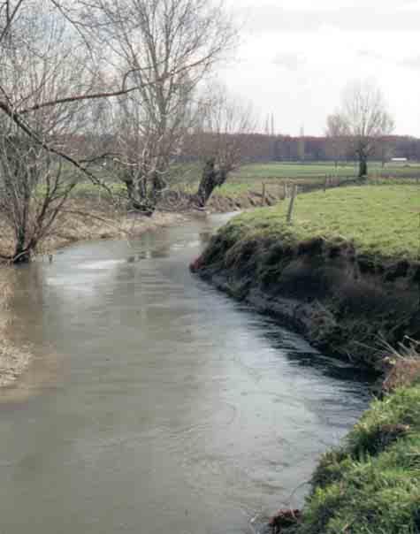 Bild 28: Ufer und Sohle des Lehmgeprägten Flusses des Tieflandes werden von lehmigen bindigen Substraten dominiert.