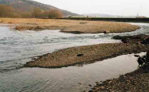 Die Sohlen und Auen der schottergeprägten Flüsse weisen das gesamte Korngrößenspektrum von lehmigen bis blockigen Substraten auf und erreichen zudem lokal das anstehende Festgestein.