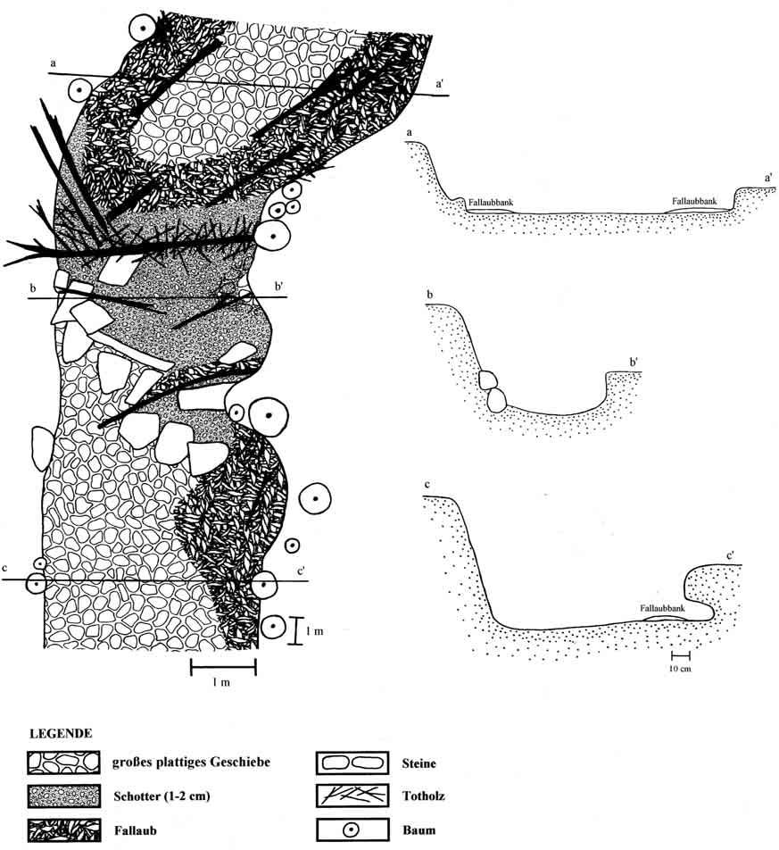 LEITBILDER KLEINE BIS MITTELGROßE FLIEßGEWÄSSER KAPITEL II.1 Abb. 18: Beispiel für die Verteilung der Substrate auf der Bachsohle und die Querprofilausbildung eines Karstbaches.