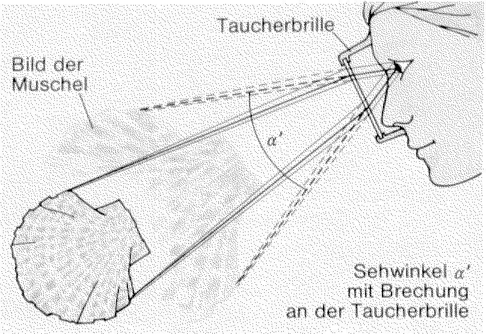 Trotz der dadurch notwendigen Akkommodation der Augenlinse auf große Entfernung, stellt sich wegen der Sehwinkelvergrößerung eher der gegenteilige Wahrnehmungseindruck ein.