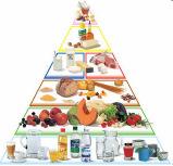 Woche 5. Wenig Fett und fettreiche Lebensmittel (60 80 g Fett pro Tag) 6. Zucker und Salz in Maßen 7. Reichlich Flüssigkeit (mind.