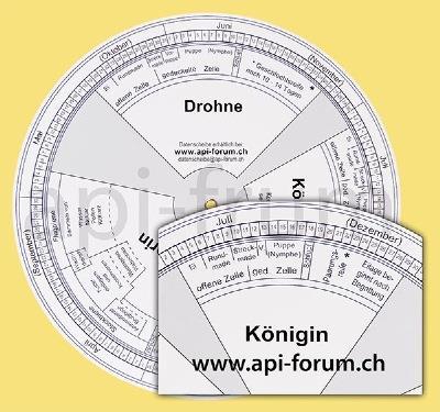 api-forum Datenscheibe 2000 Datenscheibe exkl. Versand 6.