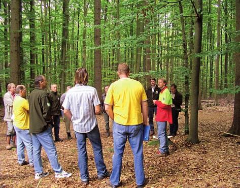 Der moderierte Erfahrungsaustausch und die konsequente Weiterbildung der Arbeitsschutzberater von Hessen-Forst führen zu einer verbesserten Beratung der Revierleiter und Forstwirte.