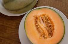 und Italien. Melonen aus diesen Ländern kommen bei uns zwischen Juni und September auf den Markt. Aus anderen Gegenden (Mittel- und Südamerika) sind Melonen ganzjährig verfügbar.