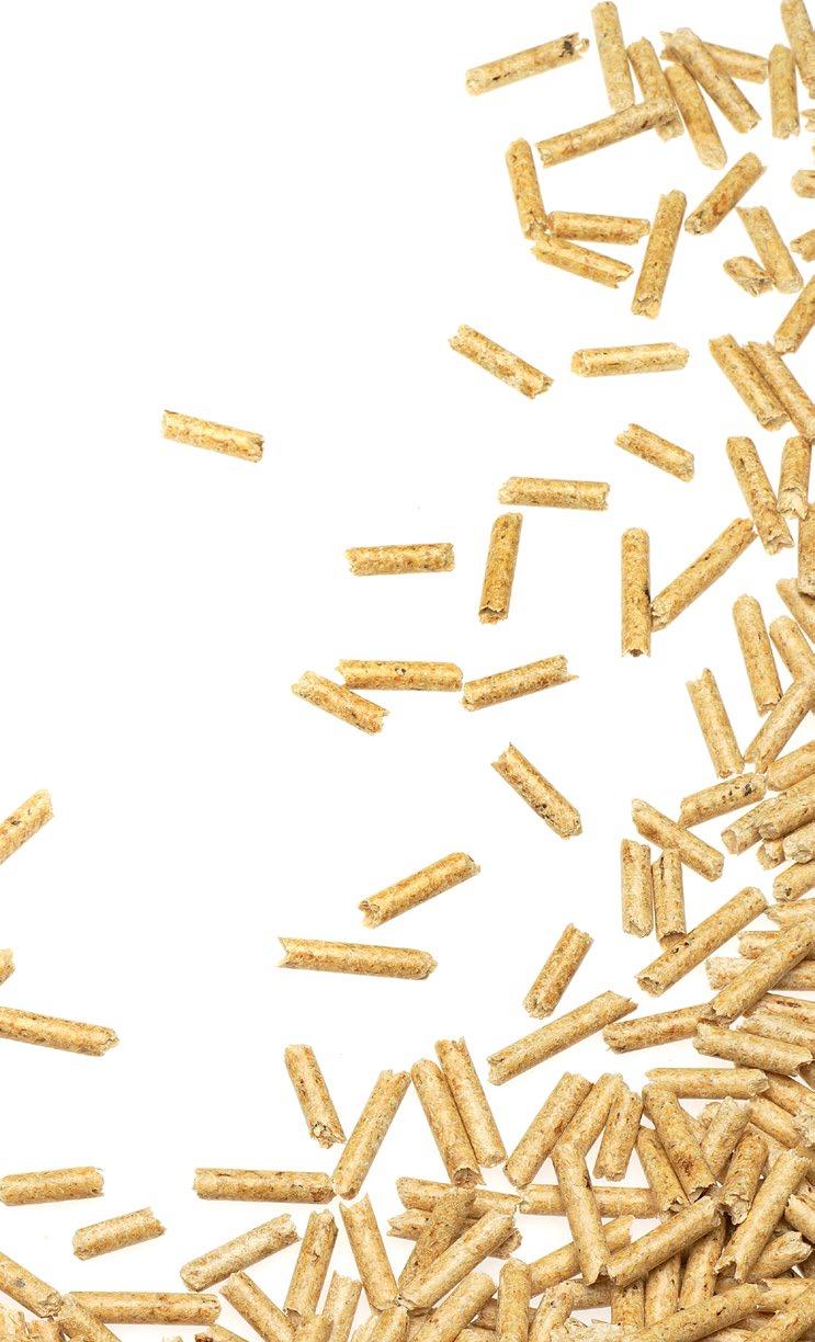 02 PELLETS TECHNISCHE DATEN PRODUKTNORM EN ISO 17225-2 ZERTIFIZIERUNGEN DINplus-Zertifizierungsprogramm für Holzpellets zur Verwendung in Kleinfeuerungsstätten, Zertifikat 7A120 ENplus-A1 European