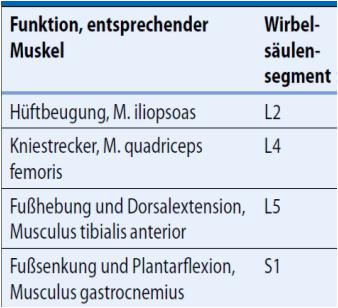 Distracting Injuries Kennmuskeln der UE o Frakturen der langen Röhrenknochen o Klinisch relevante Organverletzungen o