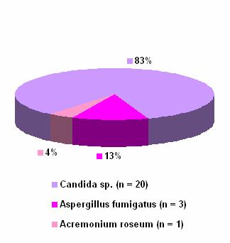 19 Abbildung 5. Abbildung 6. Streptococcus sp. Gram-negative Stäbchen (n = 46) (n = 18) 46% 56% 13% 11% 30% 33% 11% α - hämolysierender Streptococcus sp.