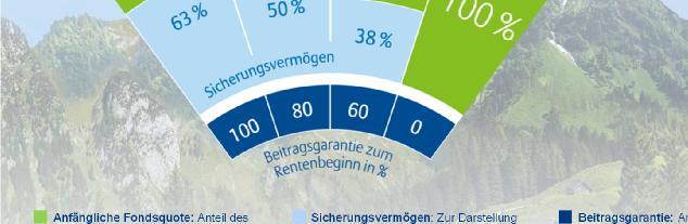 Sicherungsvermögen: Zur Darstellung der gewählten