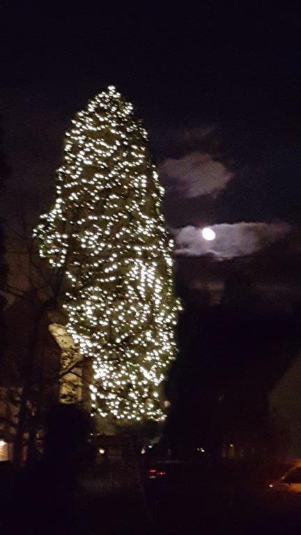Größter Weihnachtsbaum in Bronnweiler Zum Abschluss der 900 Jahr Feier von Bronnweiler, hat die Feuerwehr mit rund 1.