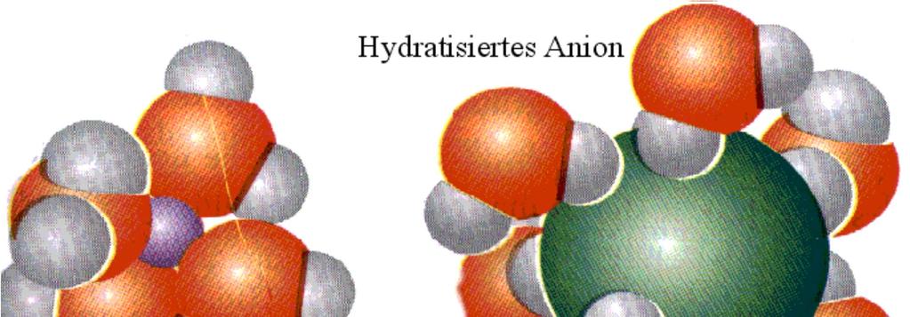 In Wasser sind Ionen stets hydratisiert, d.h. mit einem Cluster aus Wassermolekülen lose verbunden.