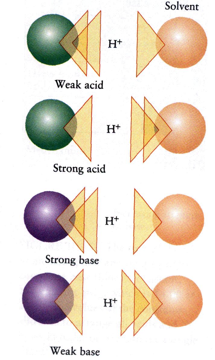 Die Fähigkeit eines Moleküls als starke oder schwache Säure zu agieren hängt von der Basenkonstante der konjugierten Base in Relation zur Basenkonstante des Wassers ab.