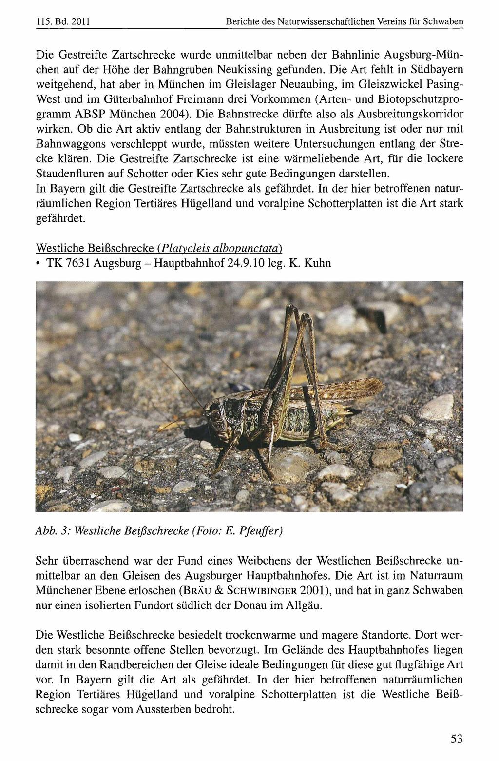 115. Bd. 2011 Naturwissenschaftlicher Verein für Berichte Schwaben, download unter www.biologiezentrum.