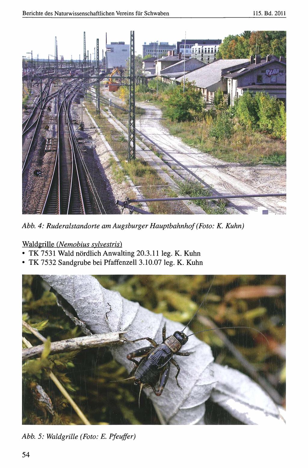 Berichte des Naturwissenschaftlichen Naturwissenschaftlicher Vereins für Schwaben, download unter www.biologiezentrum.at 115. Bd. 2011 Abb.