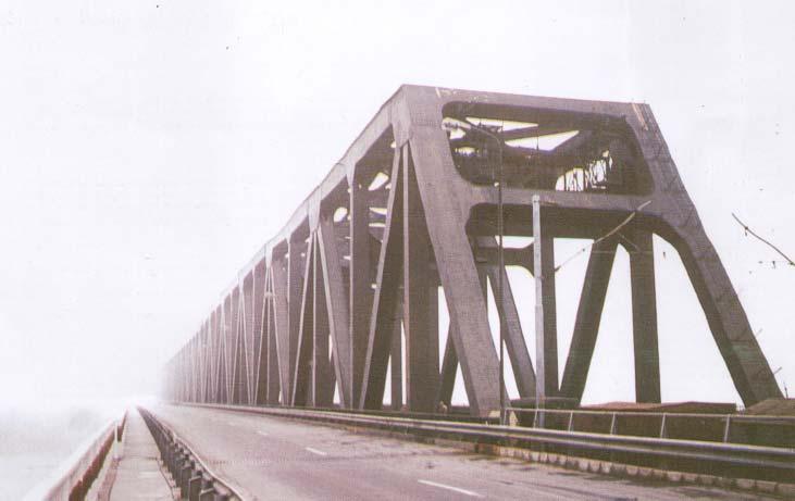 grinzi simplu rezemate din beton precomprimat, la viaductele Borcea şi tabliere cu structură compusă, oţel-beton la viaductele Dunărea.