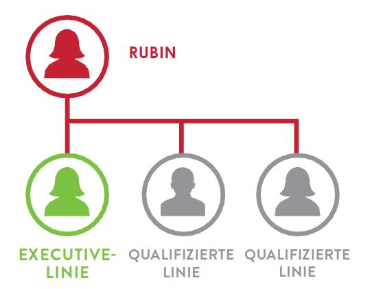 Ruby/ Rubin Sie haben 3 Vertriebspartner, wovon 1 auf Executive