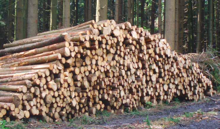 Juli 1997, gehören wir in der Forst- und Brennholzmaschinen Branche stets zu den führenden Anbietern.