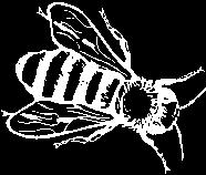 Imkereiprodukte Gentner Verschiedene Honigsorten, Gelee Royal, Blütenpollen Bienenwachskerzen, Naturkosmetik u.v.m. Öffnungszeiten: Dienstag, Donnerstag, Freitag von 15.30-18.