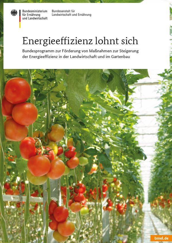 Förderung von Maßnahmen zur Steigerung der Energieeffizienz in der Landwirtschaft und im Gartenbau Richtlinie des Bundesministerium für Ernährung und