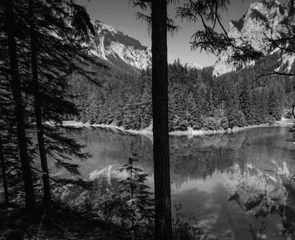 Grüner See in Tragöß Erleben Sie ein einzigartiges Naturschauspiel.