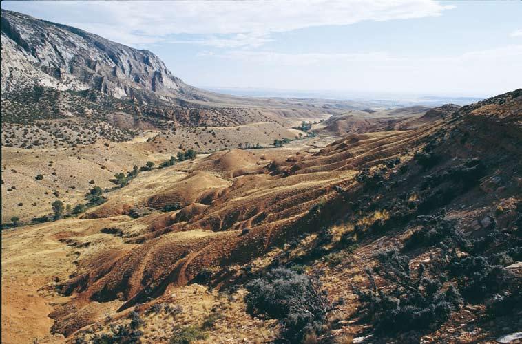 Die Westflanke der Bighorn Mountains in Wyoming. Sie sind nur spärlich mit Vegetation bedeckt - und die Fundstelle für viele Saurier.