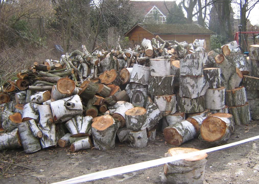 5 AKTUELLES Feuerholzversteigerung Der nächste Winter kommt bestimmt! Bei den Fäll-Arbeiten auf den Friedhöfen und in der Gemeinde sind ca. 15 m³ Birkenholz zusammengekommen.