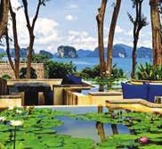 AUSSTATTUNG: Die Hanglage des Resorts verspricht einen grandiosen Panoramablick auf die Phang Nga Bucht. Die Pool Villen verteilen sich auf die tropisch bewachsene Anlage.