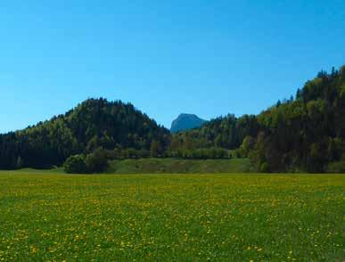 Rund um den Nußlberg (Rundtour) Länge: ca. 12 km Start/Ziel: Luegsteinsee Oberaudorf Dauer: ca. 1,5 Std.