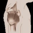 Folgende vier Muskeln gehören zu der Rotatorenmanschette: Obergrätenmuskel (Musculus supraspinatus) Untergrätenmuskel (Musculus infraspinatus) Kleiner runder Armmuskel (Musculus teres minor)
