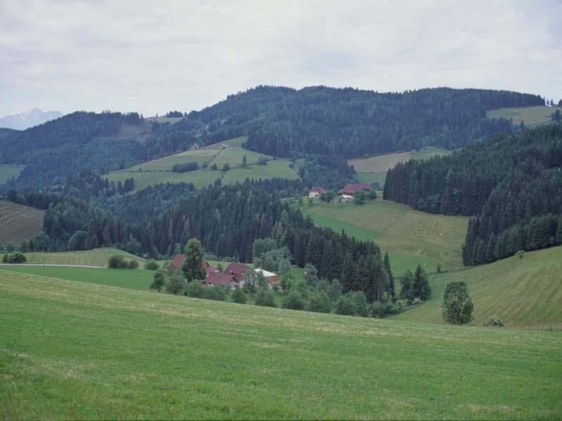 Ökologisierung der österreichischen Landwirtschaft Boden Pflanzen Tiere Wasser Luft 199 Wasserrechtsgesetz 1991