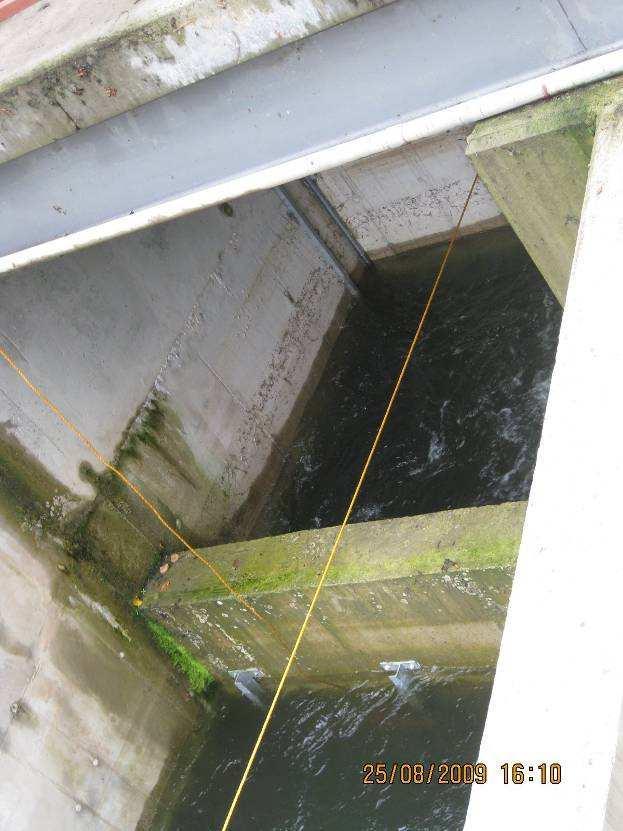 Fische dem Beckenpass (unten im Bild) zuführt.