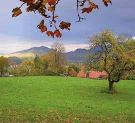 Attraktive Ausflugsziele in der Nähe, wie zum Beispiel Kufstein, Rosenheim und der Chiemsee, München, Innsbruck oder Salzburg bieten eine Reihe von Möglichkeiten, Ihren Aufenthalt zu jeder Jahreszeit
