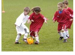 G-Jugend / Bambinis Fußball auf spielerische Weise erlernen (mit Einbeziehung der Eltern) Einfache Übungen mit dem Ball (Ball stoppen, werfen, fangen, Slalom- Hütchenlauf usw.