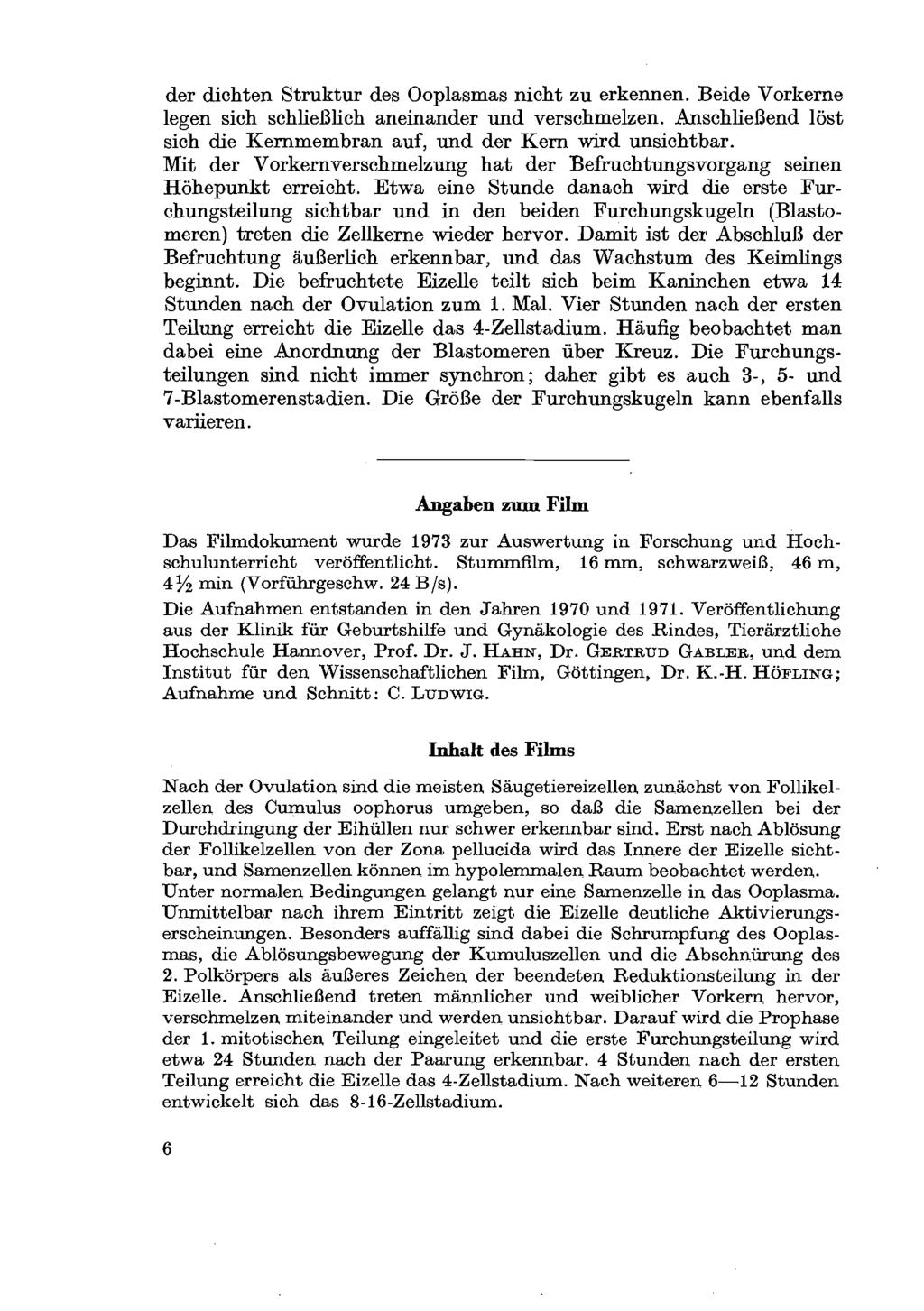 der dichten Struktur des Ooplasmas nicht zu erkennen. Beide Vorkerne legen sich schließlich aneinander und verschmerzen. Anschließend löst sich die Kernmembran auf, und der Kern wird unsichtbar.