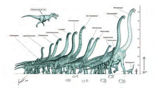 de/2009/11/brachiosaurs-parade-90-million-years-of.html). Abb. 1: Sauropoden-Spurenfossilien im Dinosaurier-Park Münchehagen.