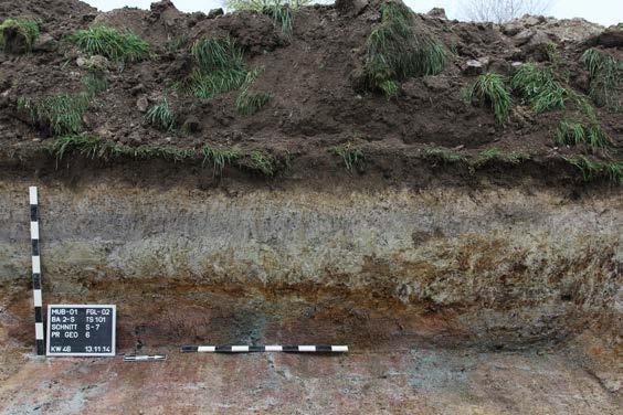 Wurden archäologische Befunde durch den durchschnittlich 1 1,5 m breiten Rohrgraben der Altleitung in der Regel undokumentiert zerstört, so ist der Boden in den übrigen Bereichen des bis zu 18 m