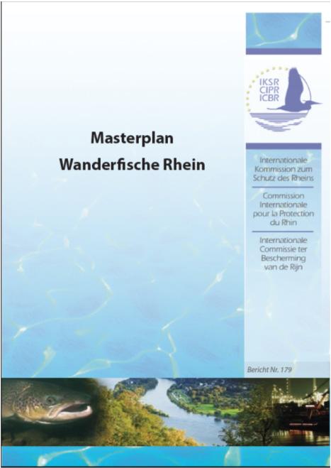 Abb. 2: Der Masterplan Wanderfische Rhein soll aufzeigen, wie in einem überschaubaren Zeit- und Kostenrahmen wieder sich selbst erhaltende stabile Wanderfischpopulationen im Rheineinzugsgebiet bis in