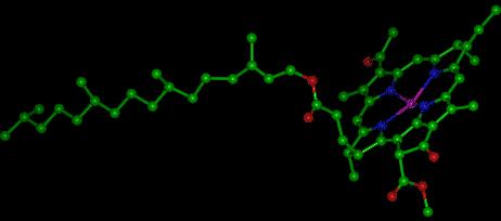 Chlorophyll in Lichtsammelkomplexen in der Membran, die
