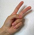 Die folgenden Bilder zeigen die Zahlen von Eins bis Zehn: 1 der Zeigefinger ist gestreckt.