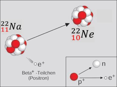 Das Elektron ( - -Teilchen) wird aus dem Kern geschleudert und nimmt dabei ein Teil der Zerfallsenergie mit.