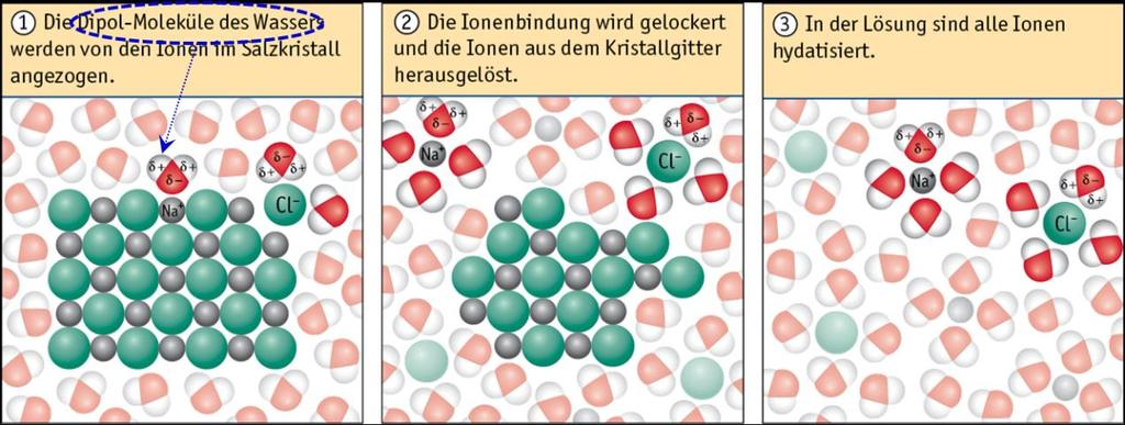 Abbildung 75: Veranschaulichung des Lösungsvorgangs eines Salzes in Wasser am Bespiel von NaCl in Wasser.