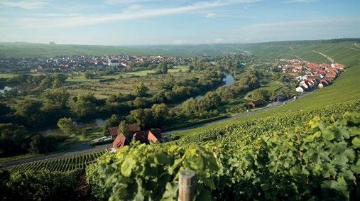 Nordheim Der Weinort Nordheim ist flächentechnisch gesehen Frankens größte weinbautreibende Gemeinde, die bis ins Jahr 918 ihre Wurzeln zurückverfolgen kann.