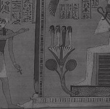 Hunefer berichtet den versammelten Göttern von seinem untadeligen Leben. Anubis empfängt den Toten und führt ihn in die Halle zur Waage der Gerechtigkeit.