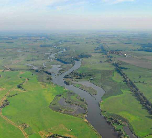 Beispiel: Gewässerrandstreifenprojekt Untere Havelniederung Ziel: Sicherung der Unteren Havel als naturnahe Fluss- und Auenlandschaft mit