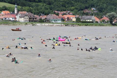 Internationalen Donauschwimmen waren 180